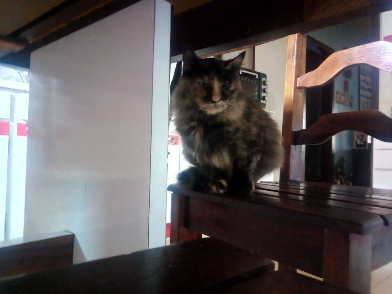 外线火力强的球队如何对抗内线强队,外线球员和内线球员