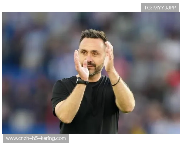 布莱顿的欧战首秀：德泽尔比的挑战与机遇，德布莱尔门窗有限公司